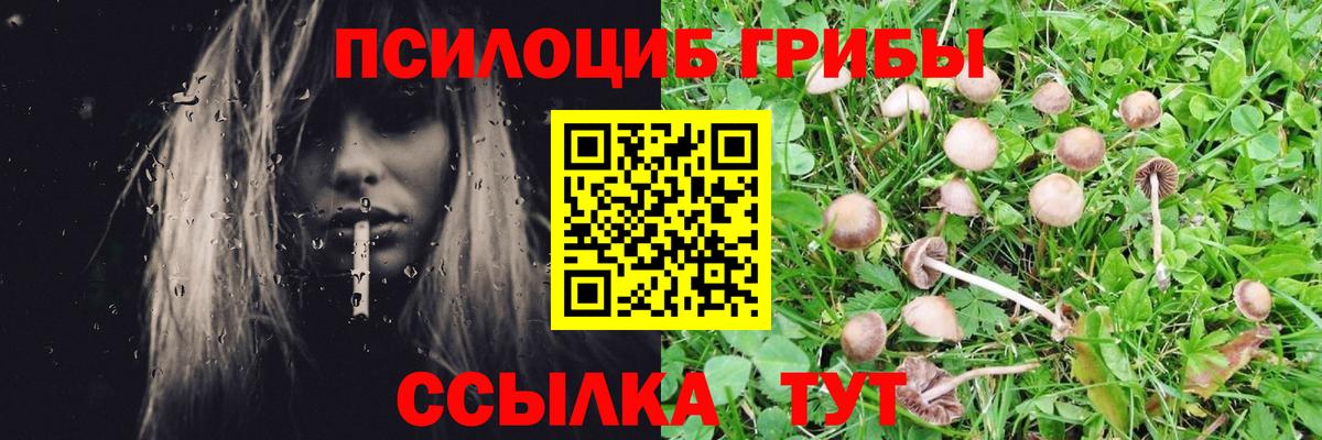 Галлюциногенные грибы Cubensis Отрадный