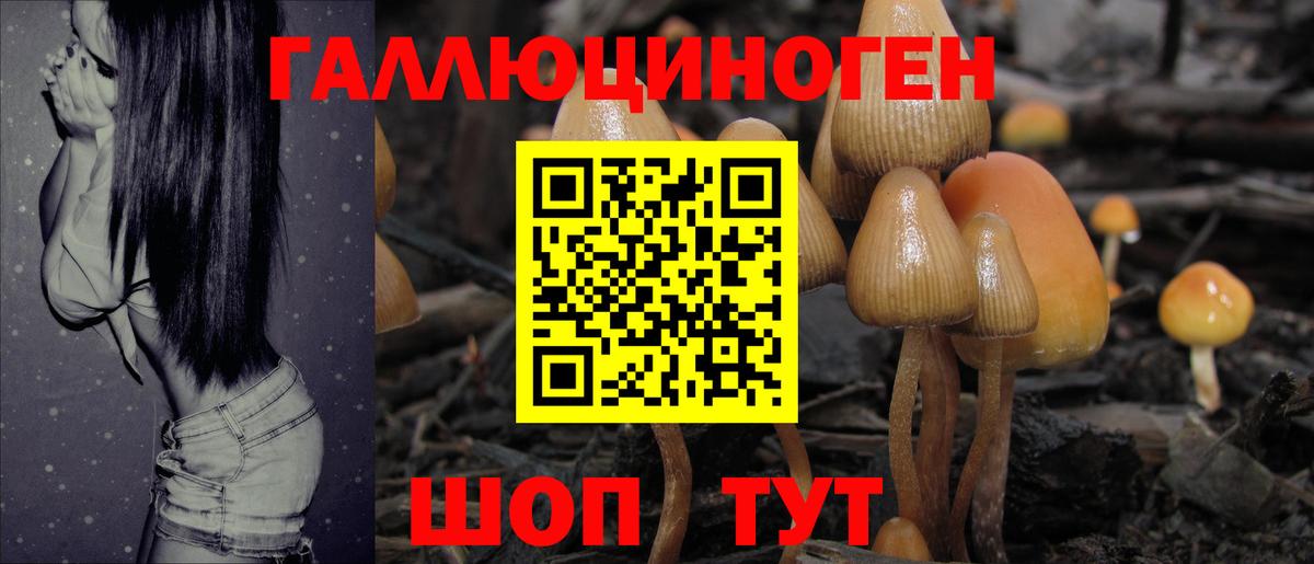 Псилоцибиновые грибы прущие грибы  Галлюциногенные грибы мицелий  Вход с VPN  закладки  Отрадный 